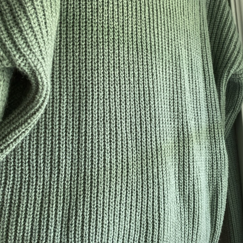 Brand new sage sweater